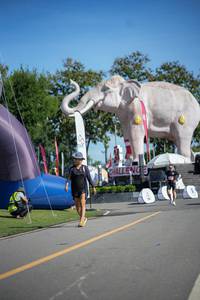 BIB: 
                            <button type="button" onclick="openModal(26542495)" class="btn btn-primary btn-sm float-right btn-popup" data-toggle="modal" data-target=".modal-high-quality">
                        <i class="fas fa-shopping-cart"></i> Add to Cart
                    </button>
                                            <button type="button" onclick="isThisMe(26542495, true)" class="btn btn-success btn-sm float-right btn-popup btn-isme hidden" data-toggle="tooltip" data-placement="bottom" title="นี่คือรูปของคุณใช่ไหม คลิกที่นี่เพื่อเอาเข้าอัลบั้ม">
                        <i class="fas fa-plus"></i> Add to album
                    </button>
                    <button type="button" onclick="isThisMe(26542495, false)" class="btn btn-warning btn-sm float-right btn-popup btn-isnotme hidden">
                        <i class="fas fa-ban"></i> Remove from album
                    </button>